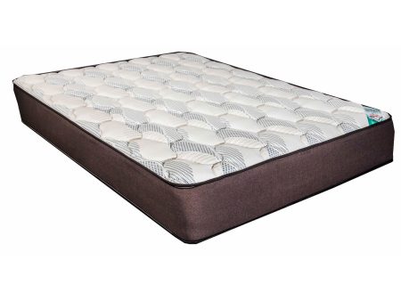 Dream Time Bedding Matelas Ultra a plateau-standard pour lit double Discount