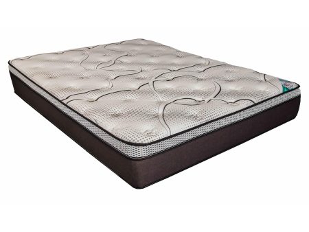 Dream Time Bedding Matelas Dream moelleux a Euro plateau pour lit double Fashion