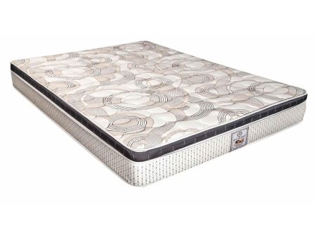 Dream Time Bedding Matelas Comfort Dream a Euro plateau pour grand lit Supply