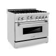 ZLINE 36  Professional 4.6 cu. ft. 6 Gas on Gas Range in Stainless Steel with Color Door Options (RG36) [Color: Stainless Steel] For Cheap